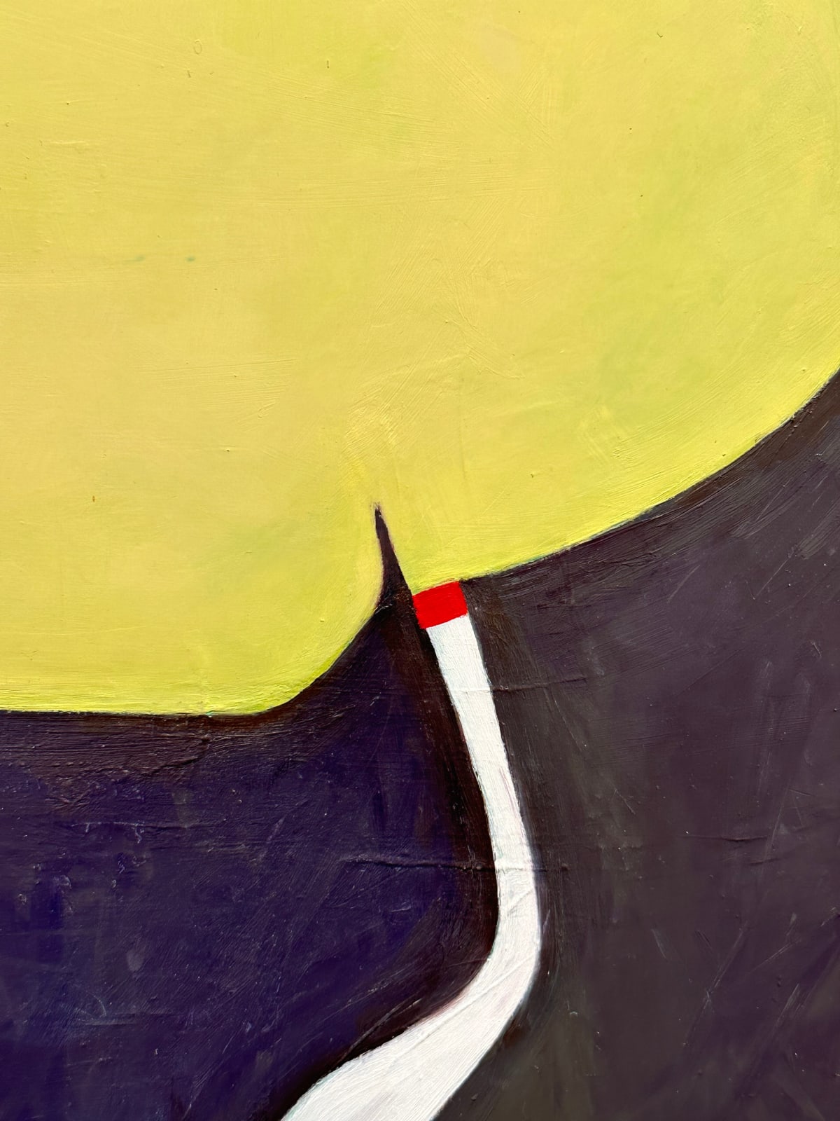 Fran Shalom, Sashay, 2023