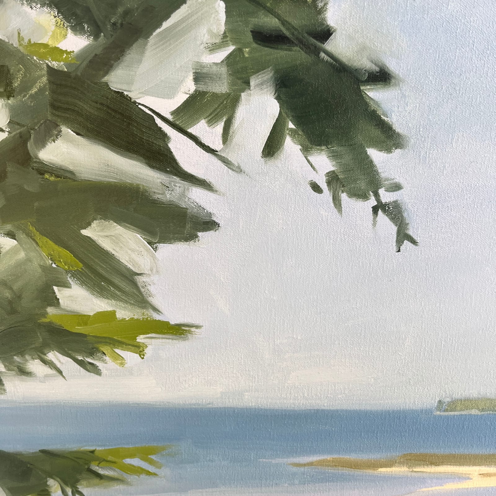 Sara MacCulloch, First day on great spruce (sunny), 2025