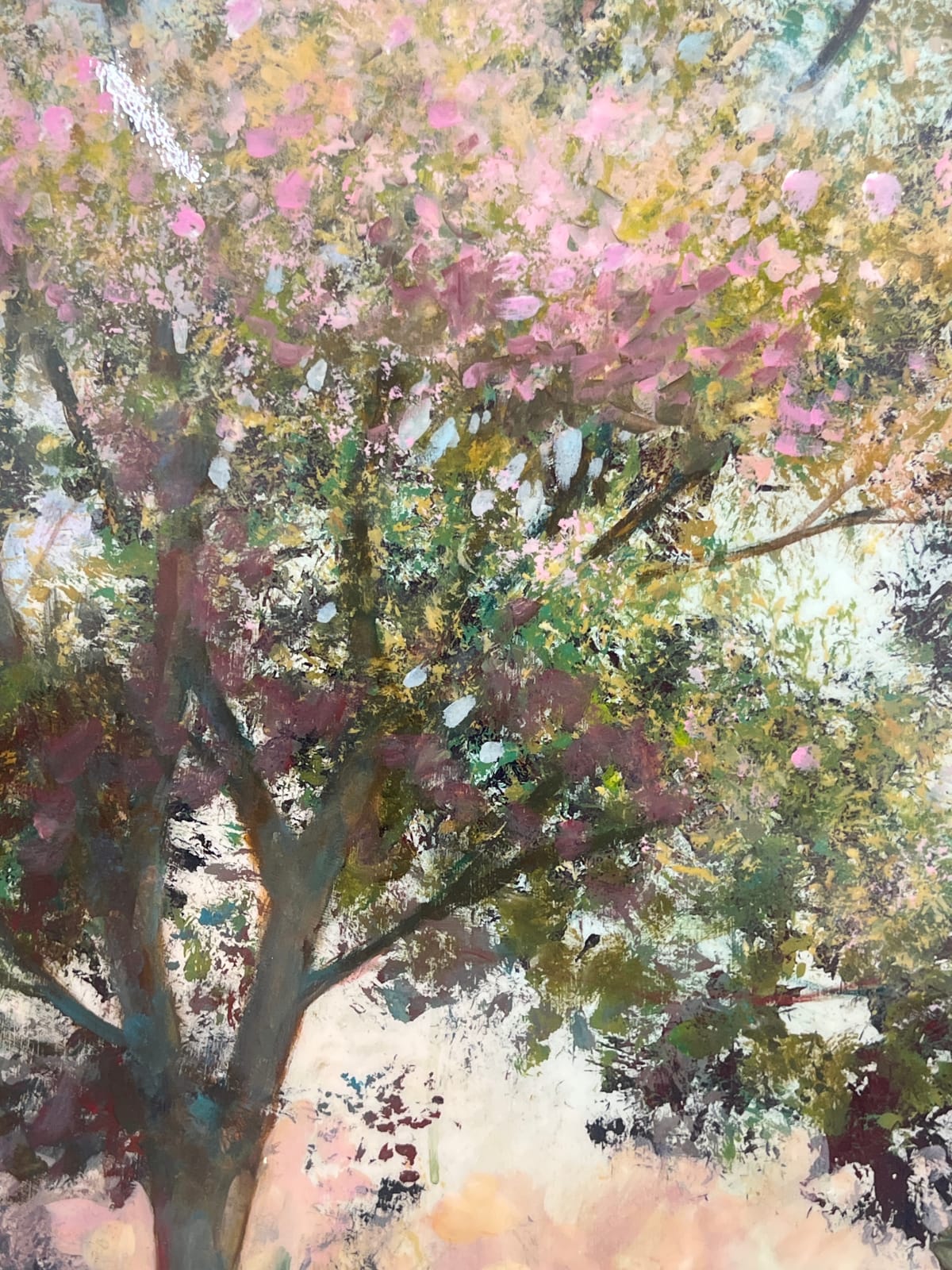 Peter Hoffer, Princeton Maple, 2025