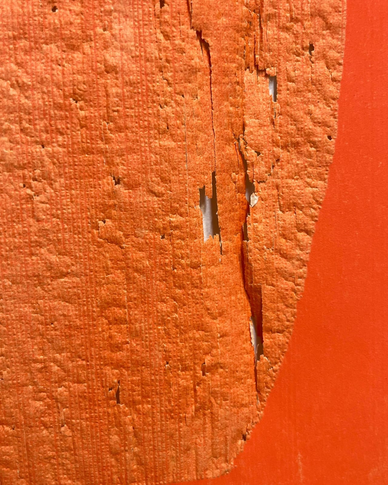 Allyson Strafella, orange pool, 2013