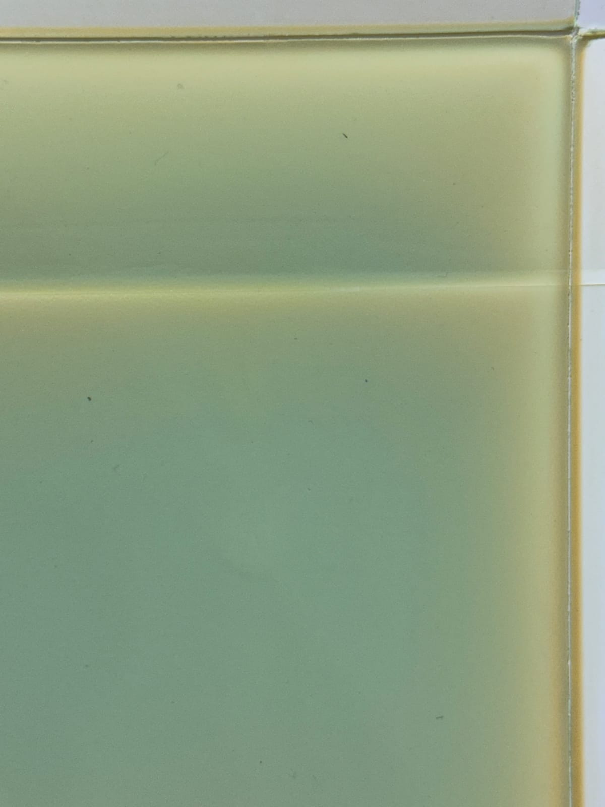 Susan English, WOY 26-20 No.28, 2024