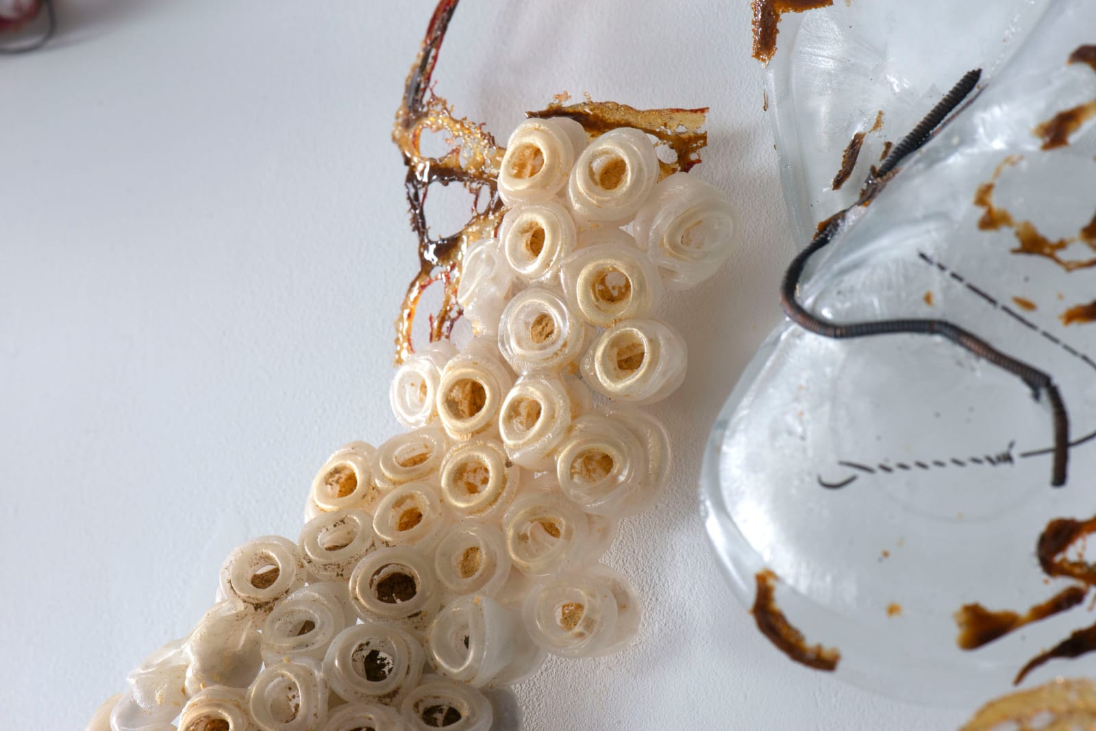 Nancy Cohen, Approaching The Tree, 2023-24