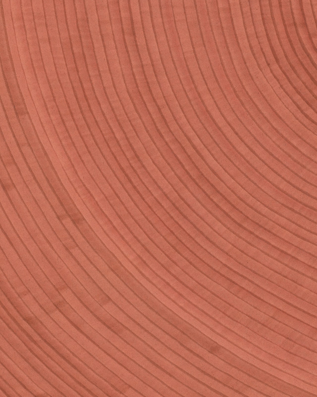 Dana Piazza, Lines 144, 2023