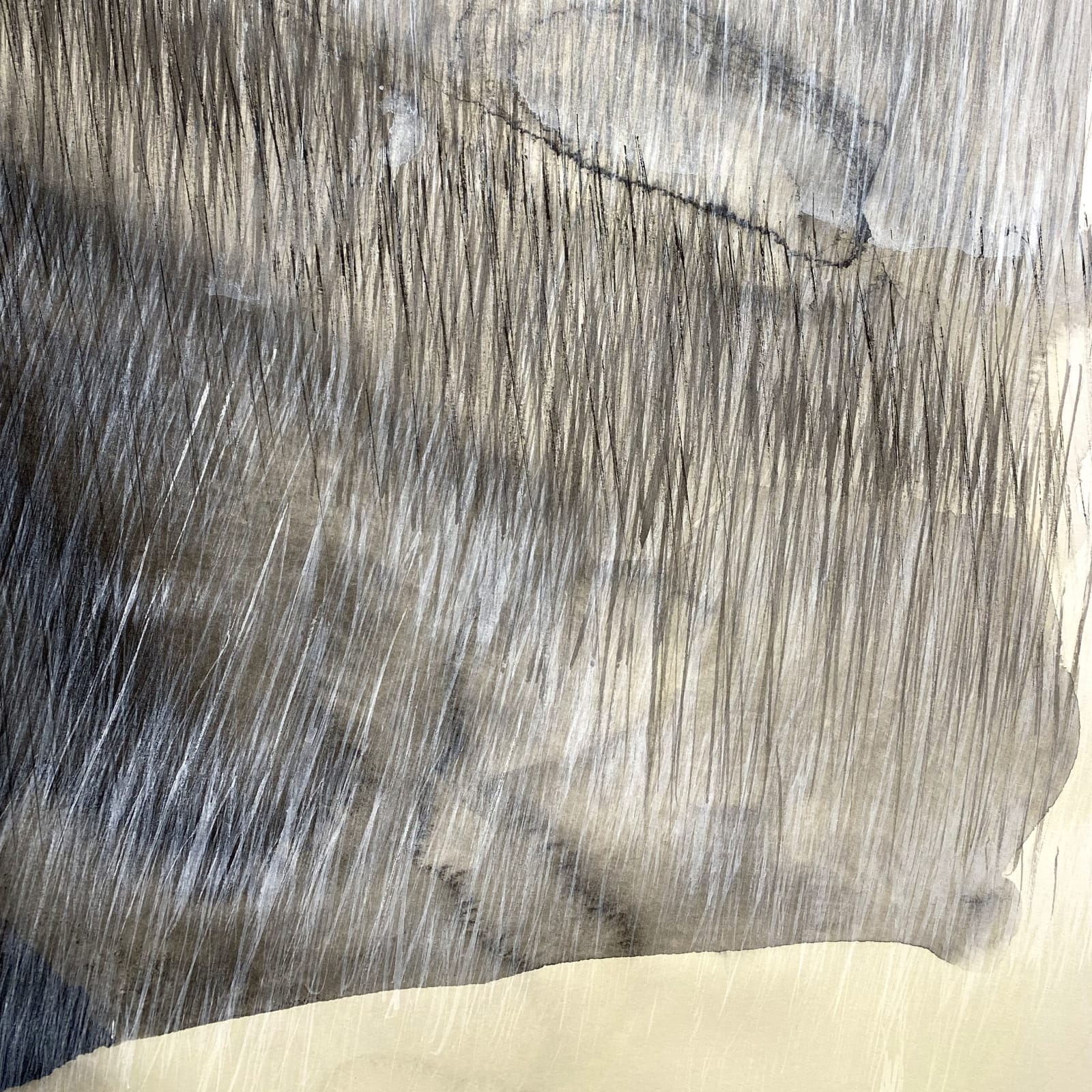 Dale Emmart, Flood Rise, 2021