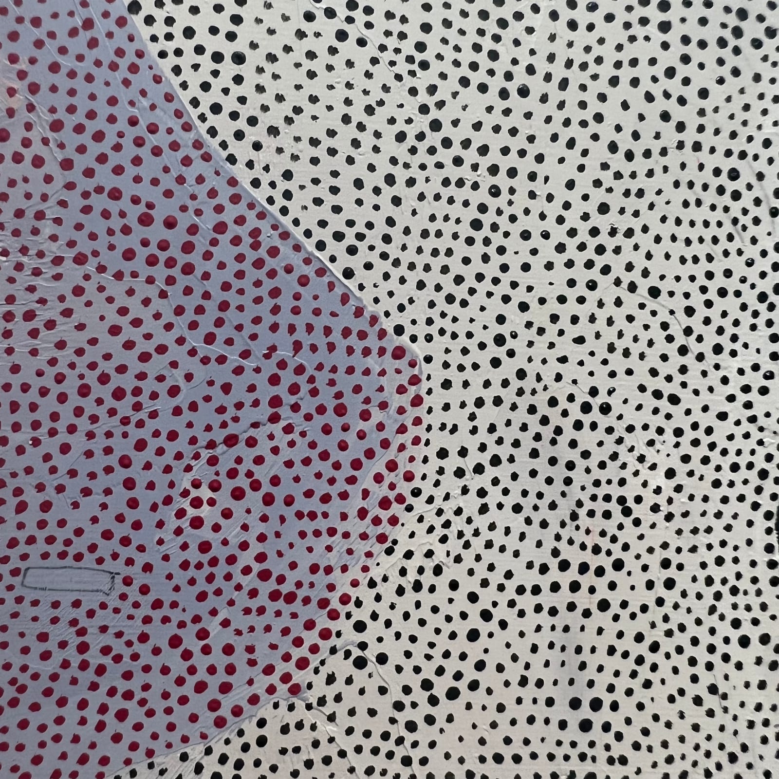 Maeve D'Arcy, The Youngest, 2023