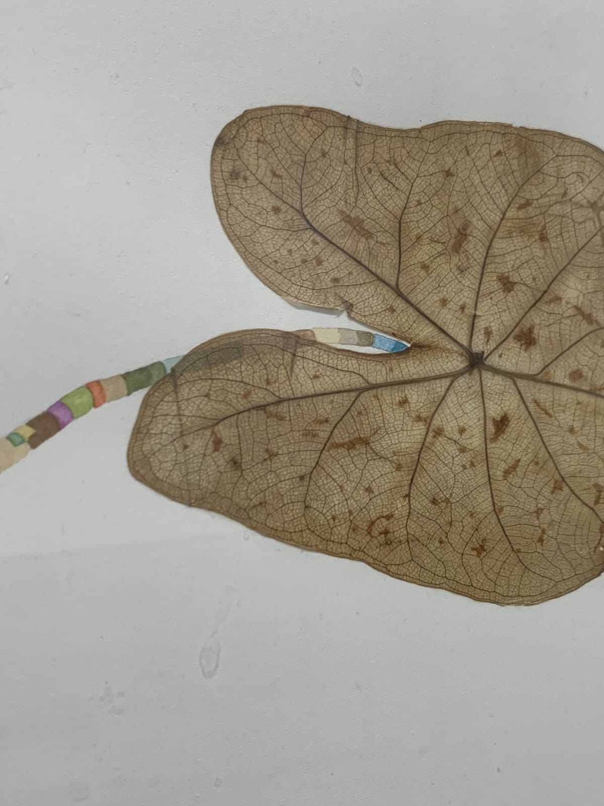 Marilla Palmer, Curling Upwards, 2015