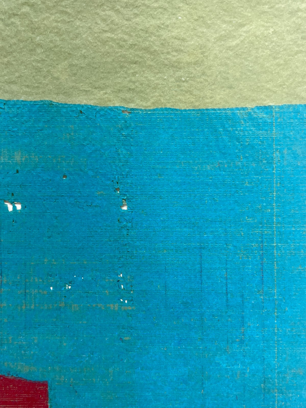 Allyson Strafella, reef, 2018