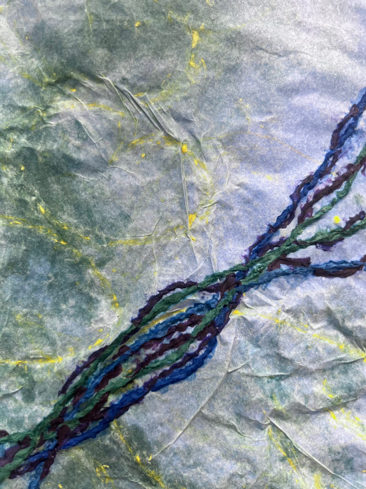 Nancy Cohen, Deep Roots, 2025