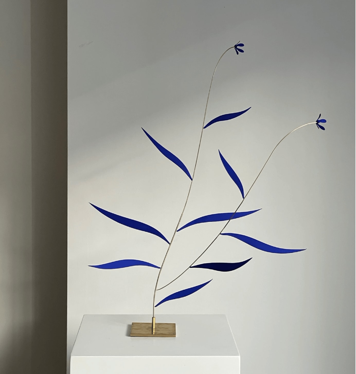 Daniel Murphy, No. 8 , 2022