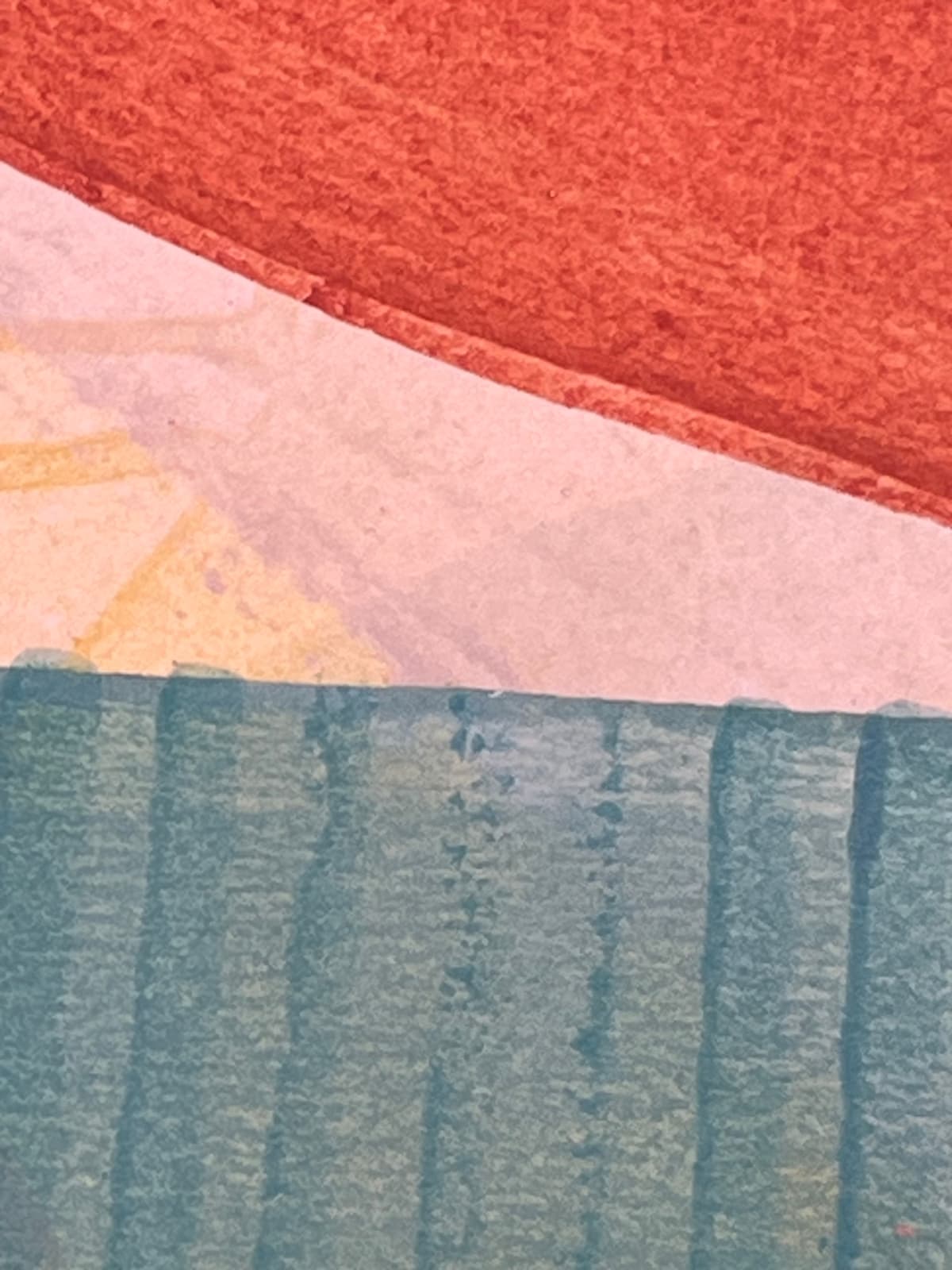 Ky Anderson, Tree Growth, 2024