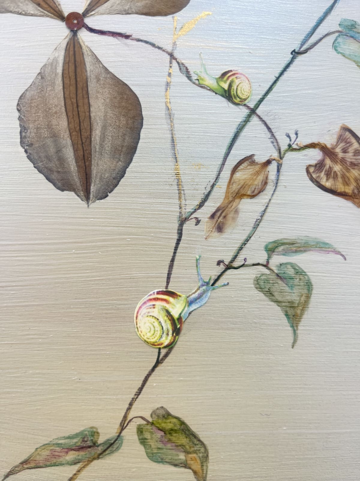 Marilla Palmer, Ecstatic Clematis, 2025