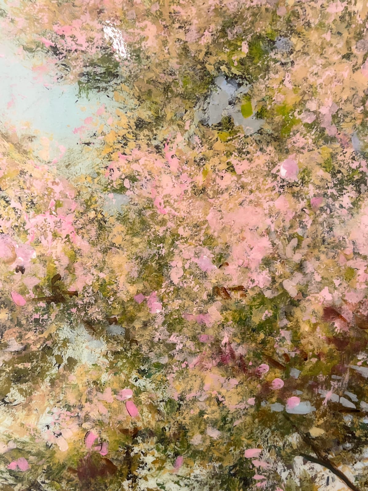 Peter Hoffer, Princeton Maple, 2025