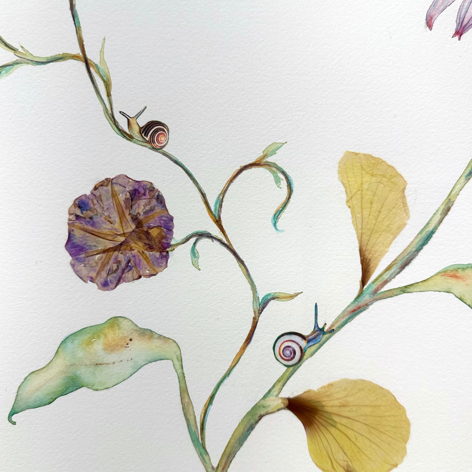 Marilla Palmer, Morning Glory and Echinacea, 2023 Markel Fine Arts