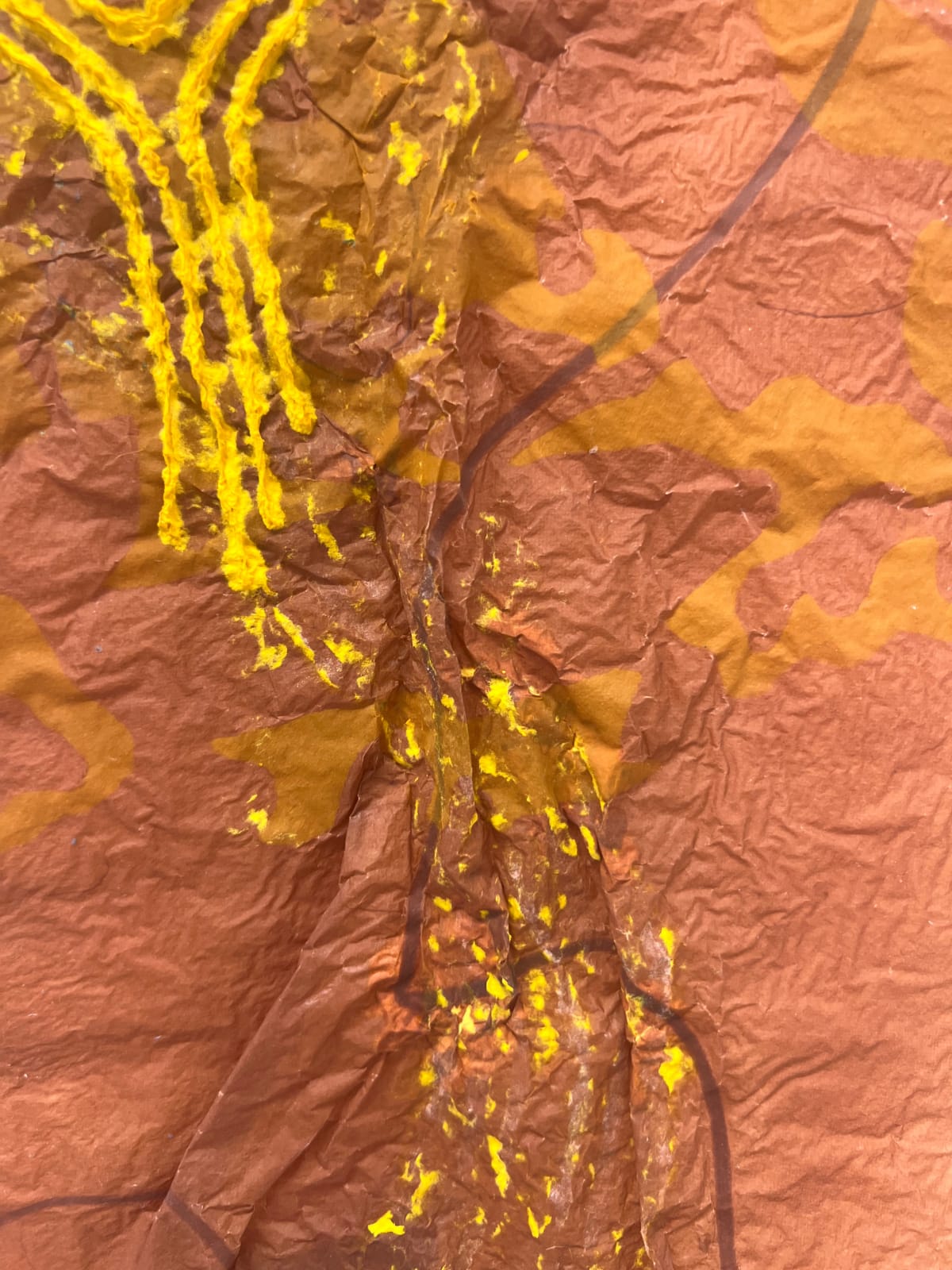 Nancy Cohen, Dip, 2023