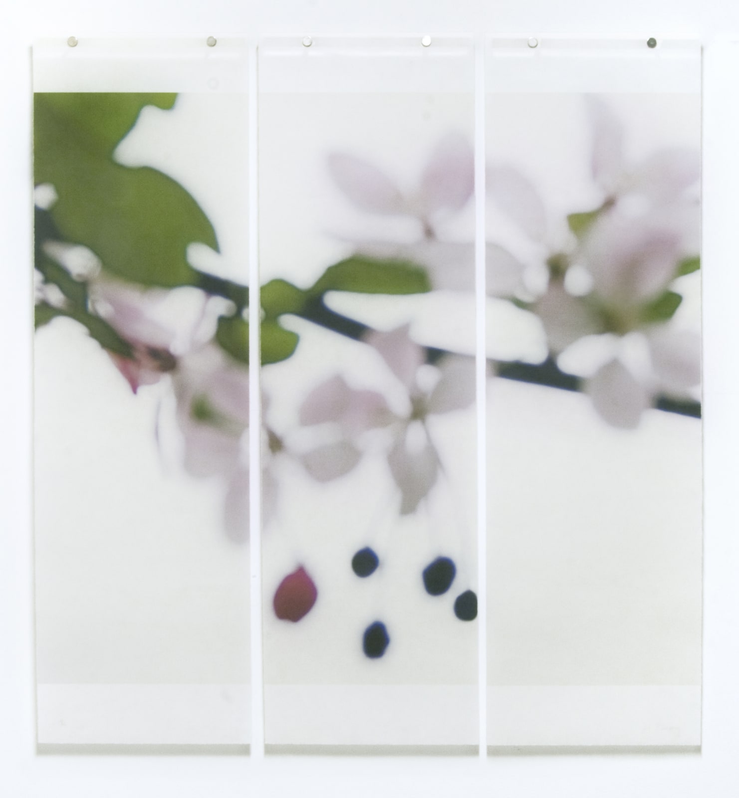 Jeri Eisenberg, Till It's Time to Go, No.24, 2015