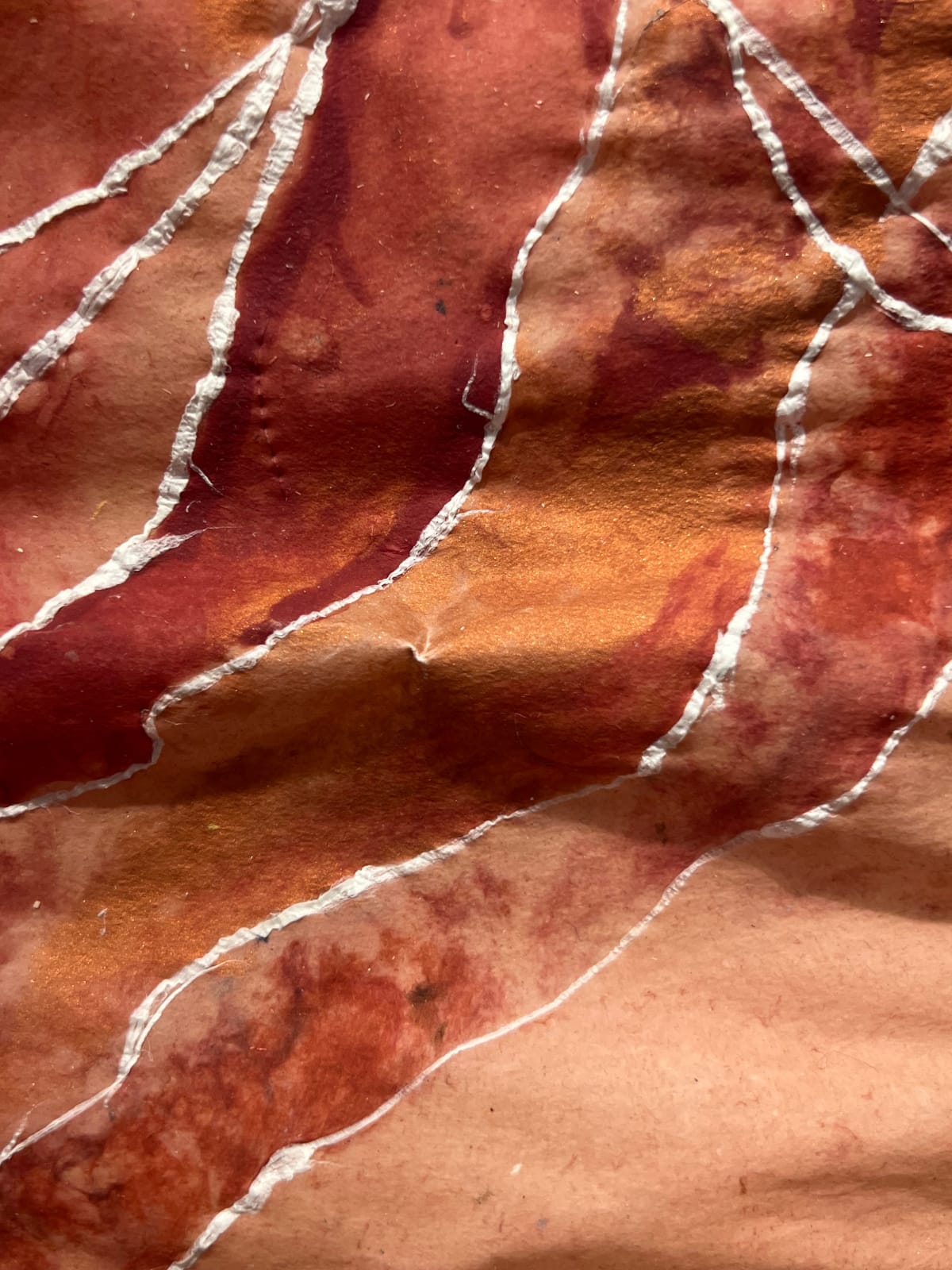 Nancy Cohen, Rose Lines, 2024