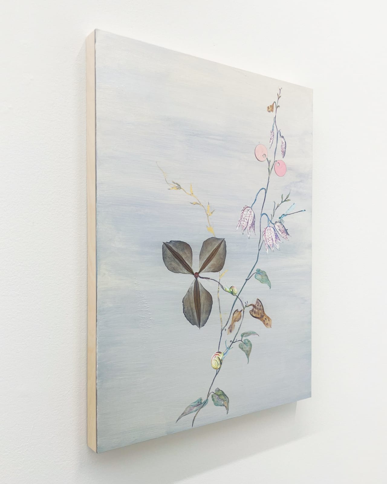 Marilla Palmer, Ecstatic Clematis, 2025