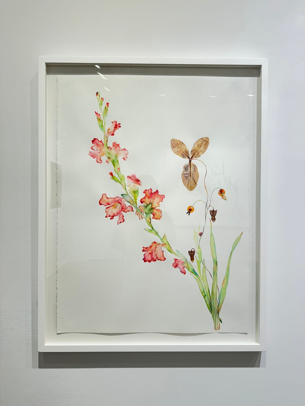 Marilla Palmer, Giotto's Pink, 2023