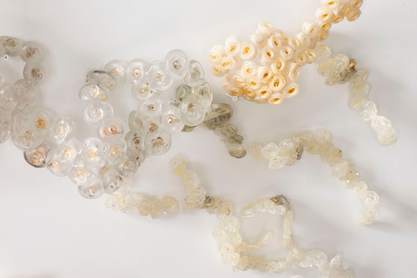 Nancy Cohen, Approaching The Tree, 2023-24