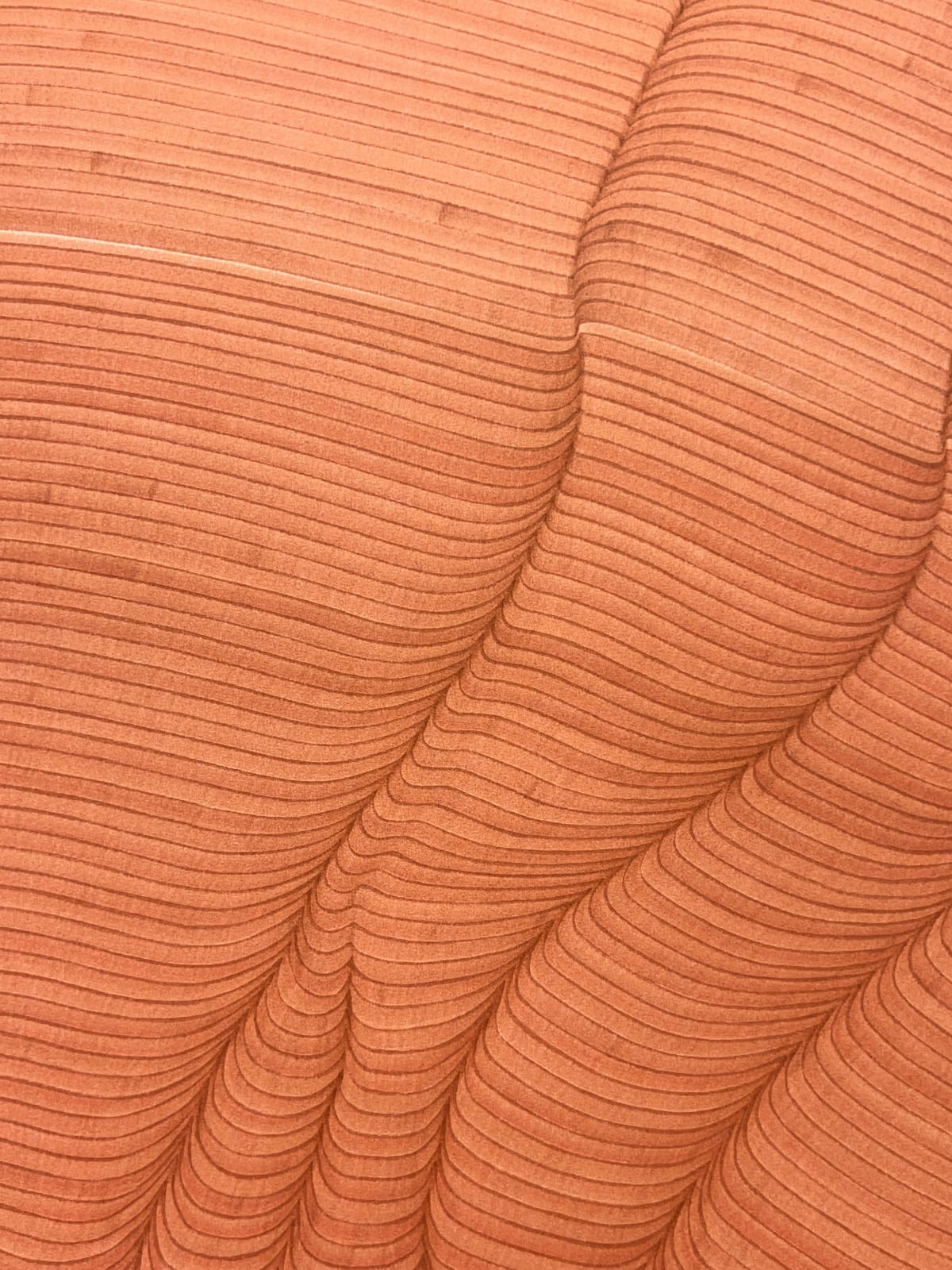 Dana Piazza, Lines 315, 2025