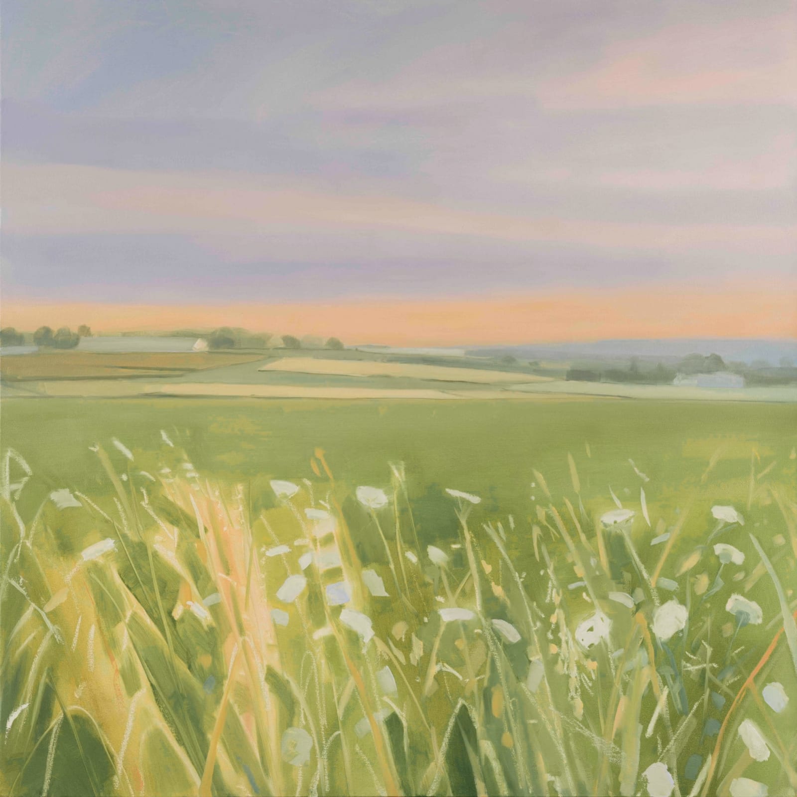 Sara MacCulloch, Hazy dusk in the fields, 2025