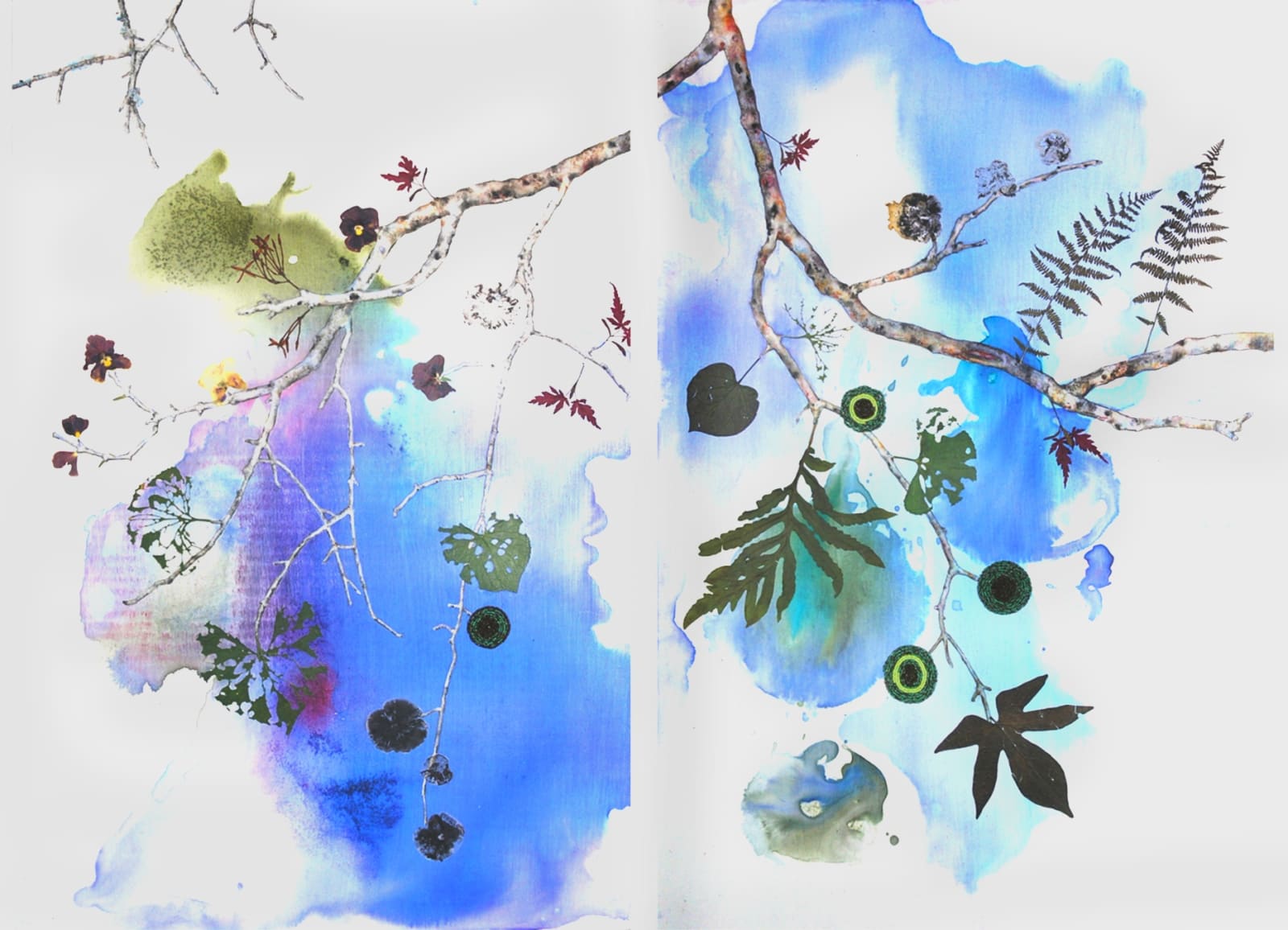 Marilla Palmer, Fruit of the Japanese Maple, 2013