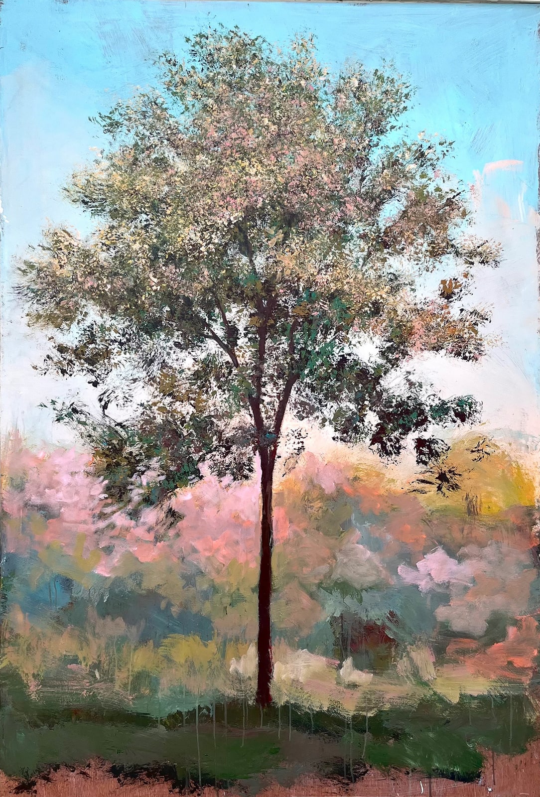 Peter Hoffer, Princeton Maple, 2025