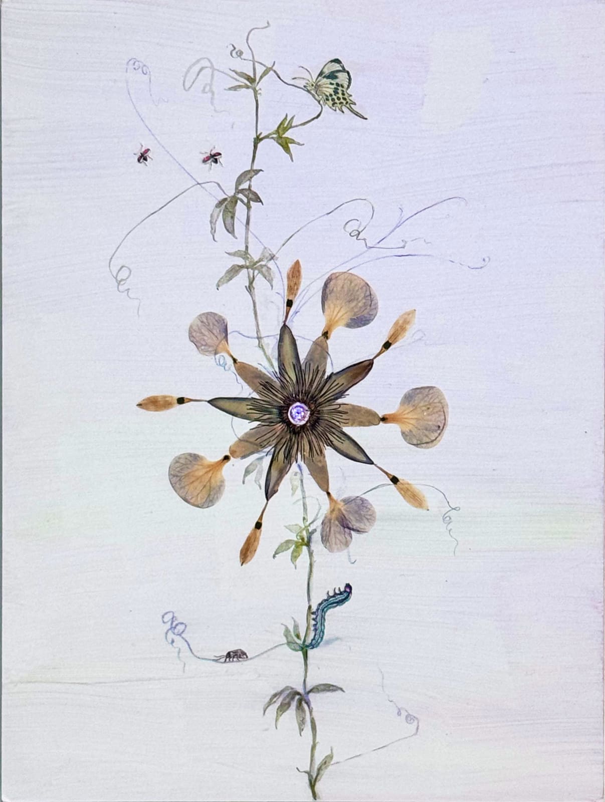 Marilla Palmer, Ethereal Passiflora, 2024