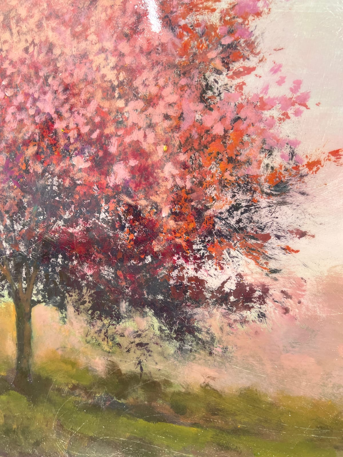 Peter Hoffer, Burberry, 2025