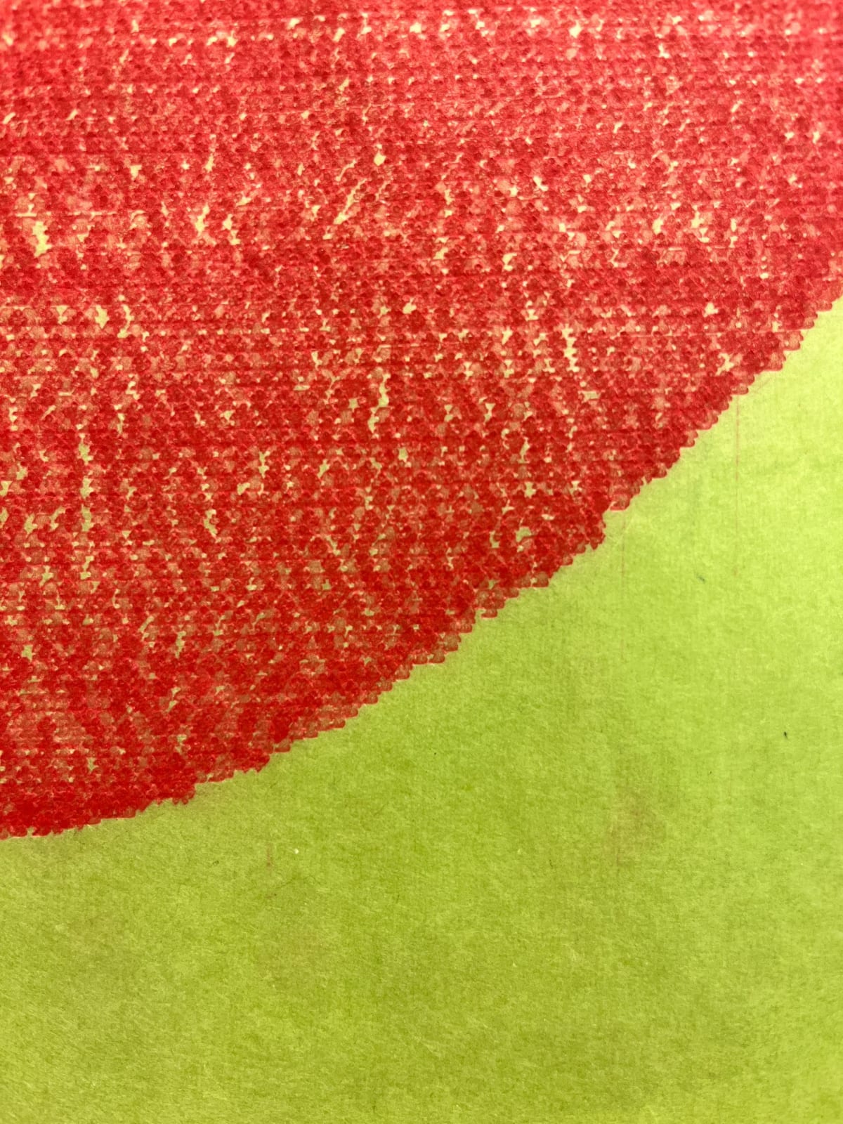 Allyson Strafella, hold, 2019