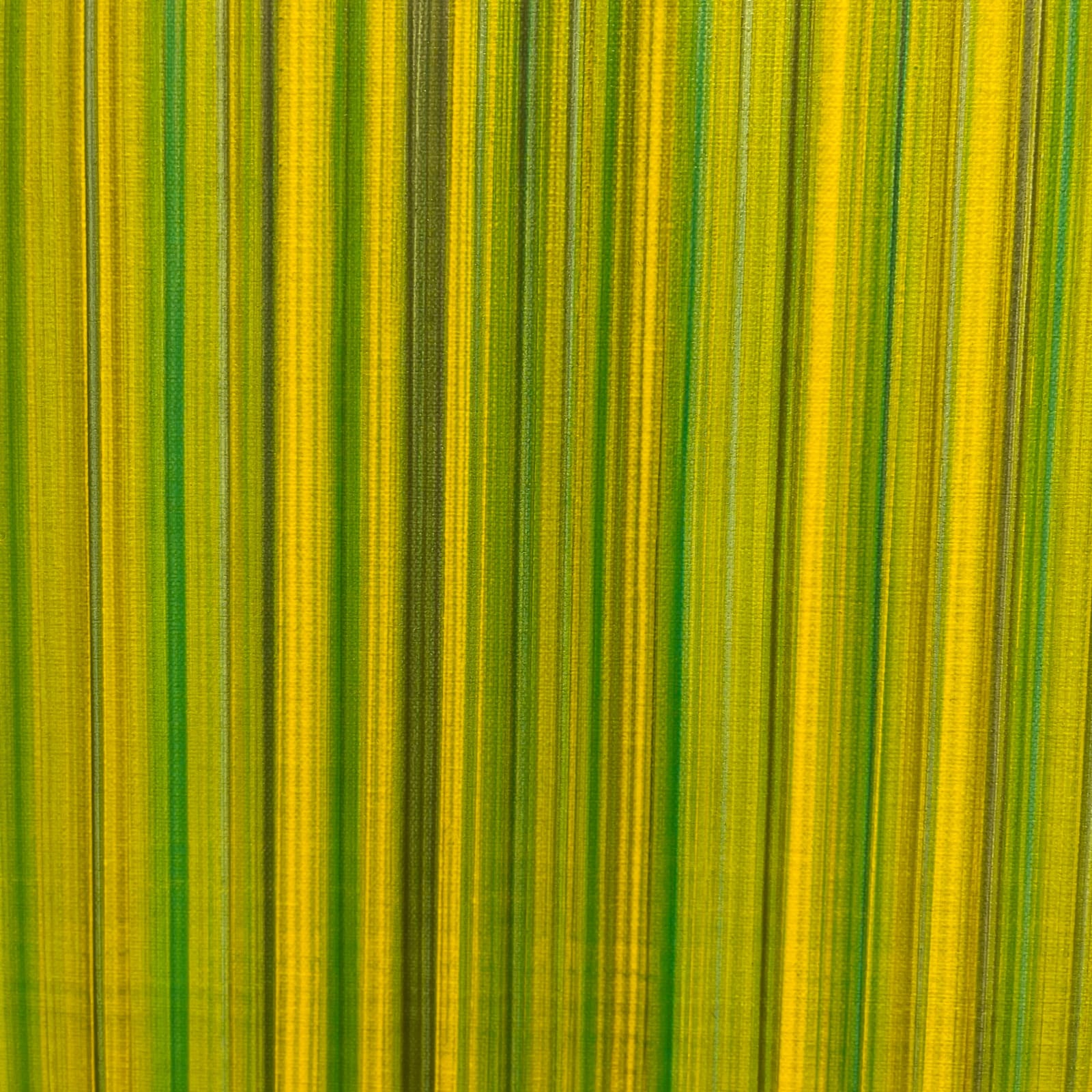 Erick Johnson, Agate Ramble, 2022