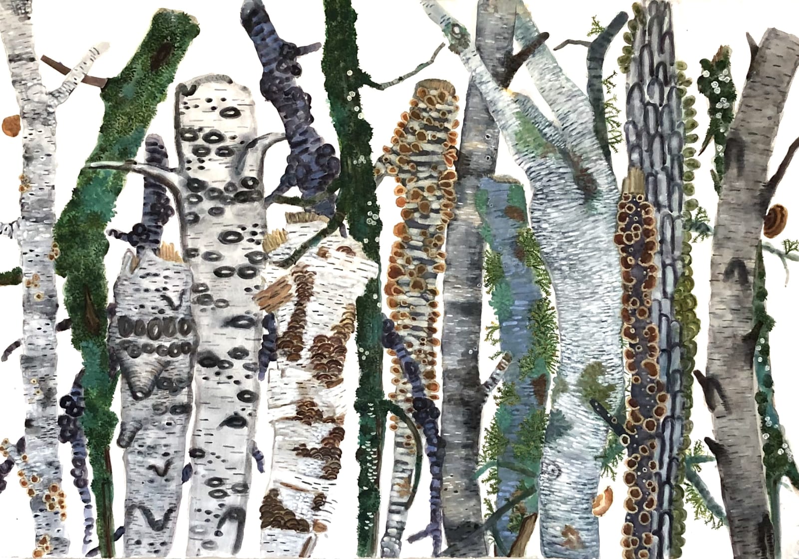 painting of densely packed tree trunks and moss in shades of green blue and brown