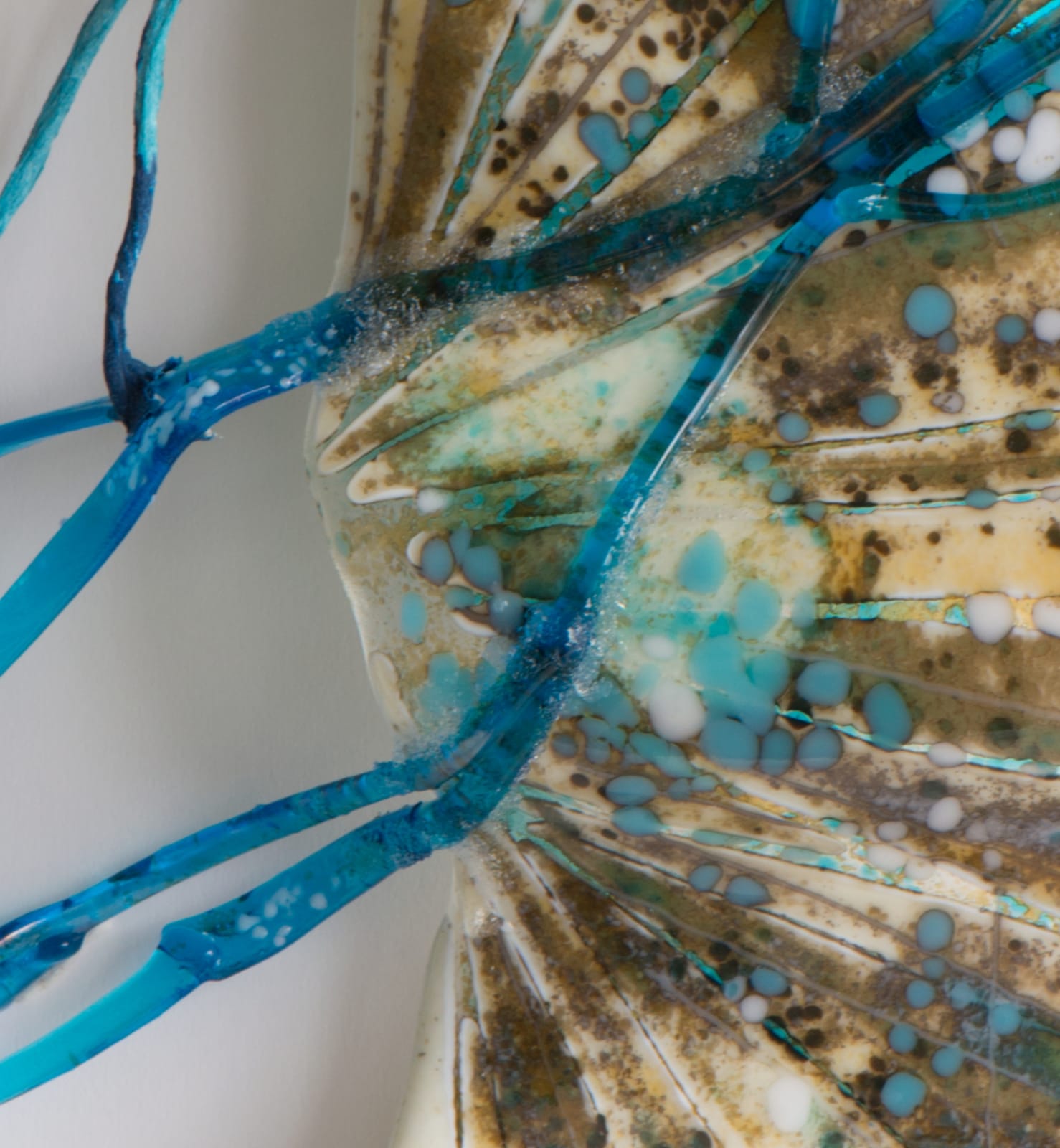 Nancy Cohen, Lambent, 2017