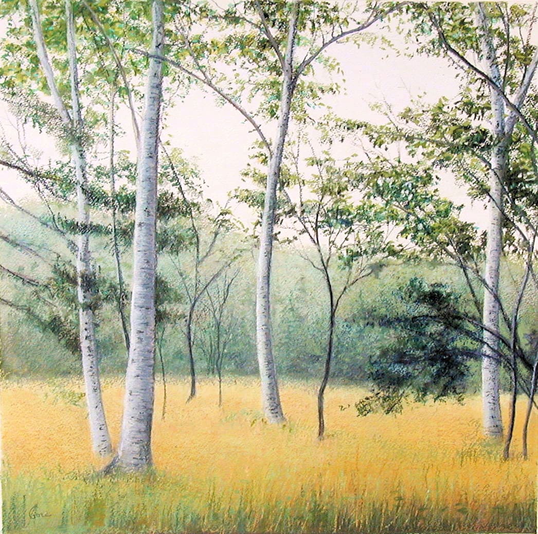 Elissa Gore, Birch Field 3, 2001