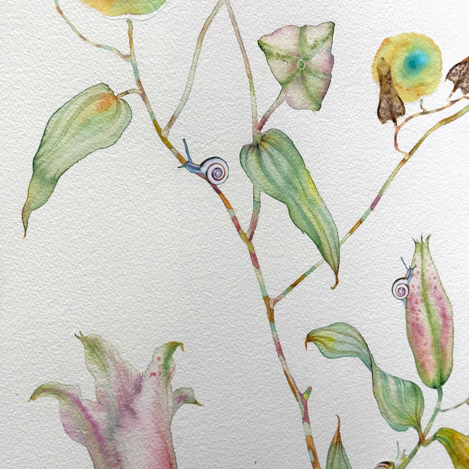Marilla Palmer, The Innocence of Flowers, 2023