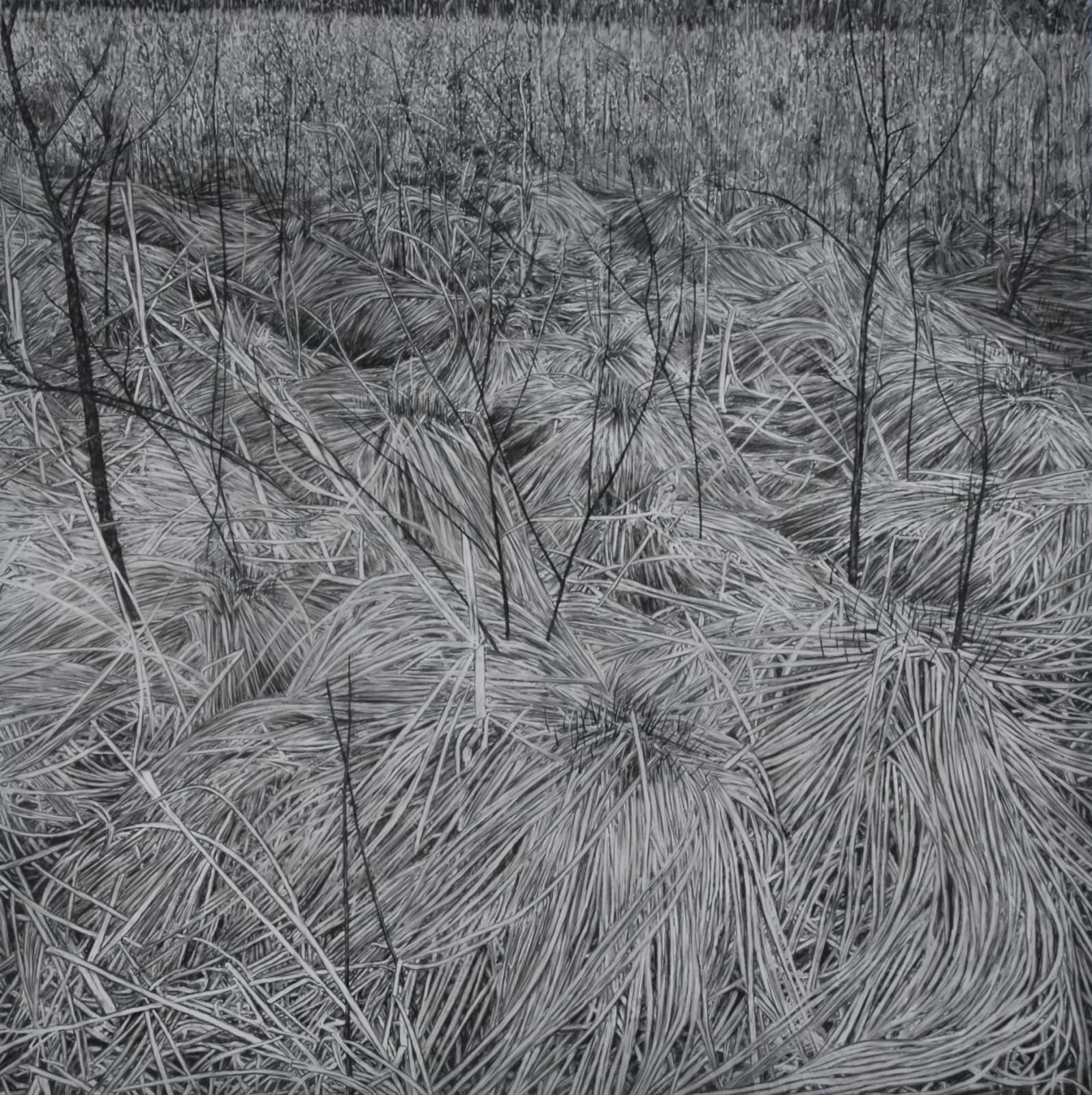 Cristina De Gennaro, Westtown, NY, 2022