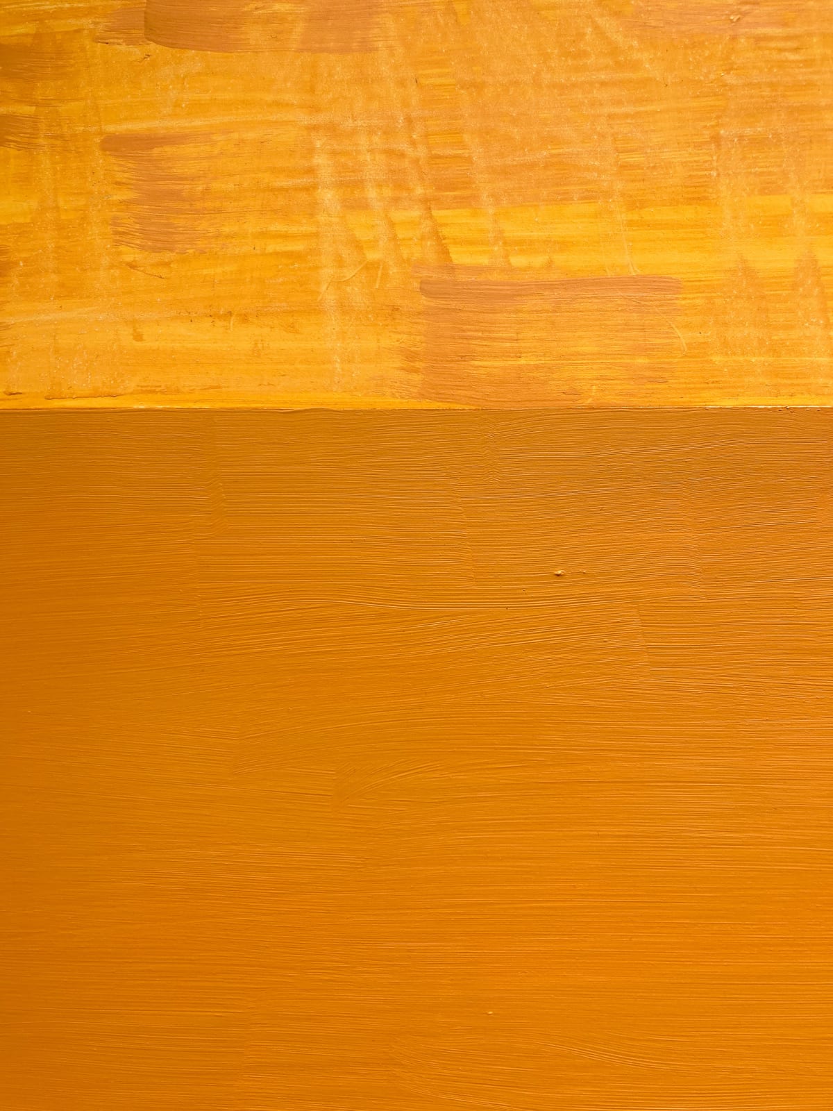 Sydney Licht, Shelf Life #7, 2024