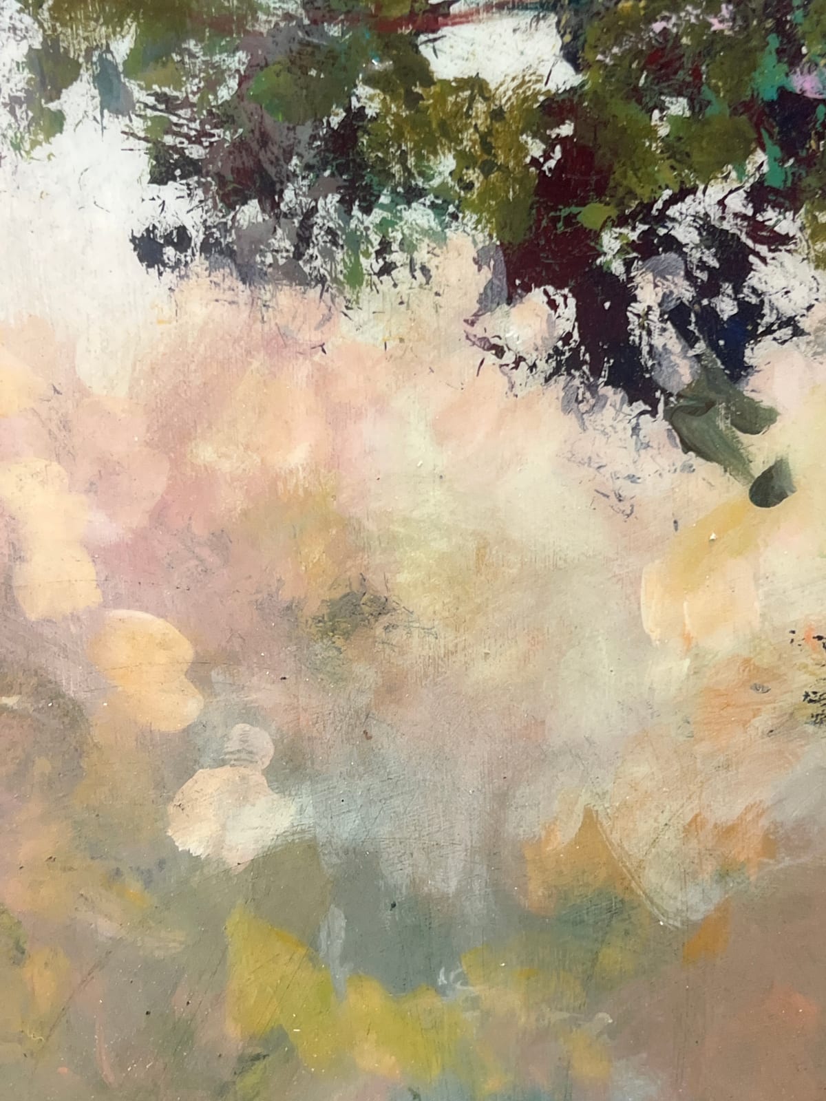 Peter Hoffer, Princeton Maple, 2025