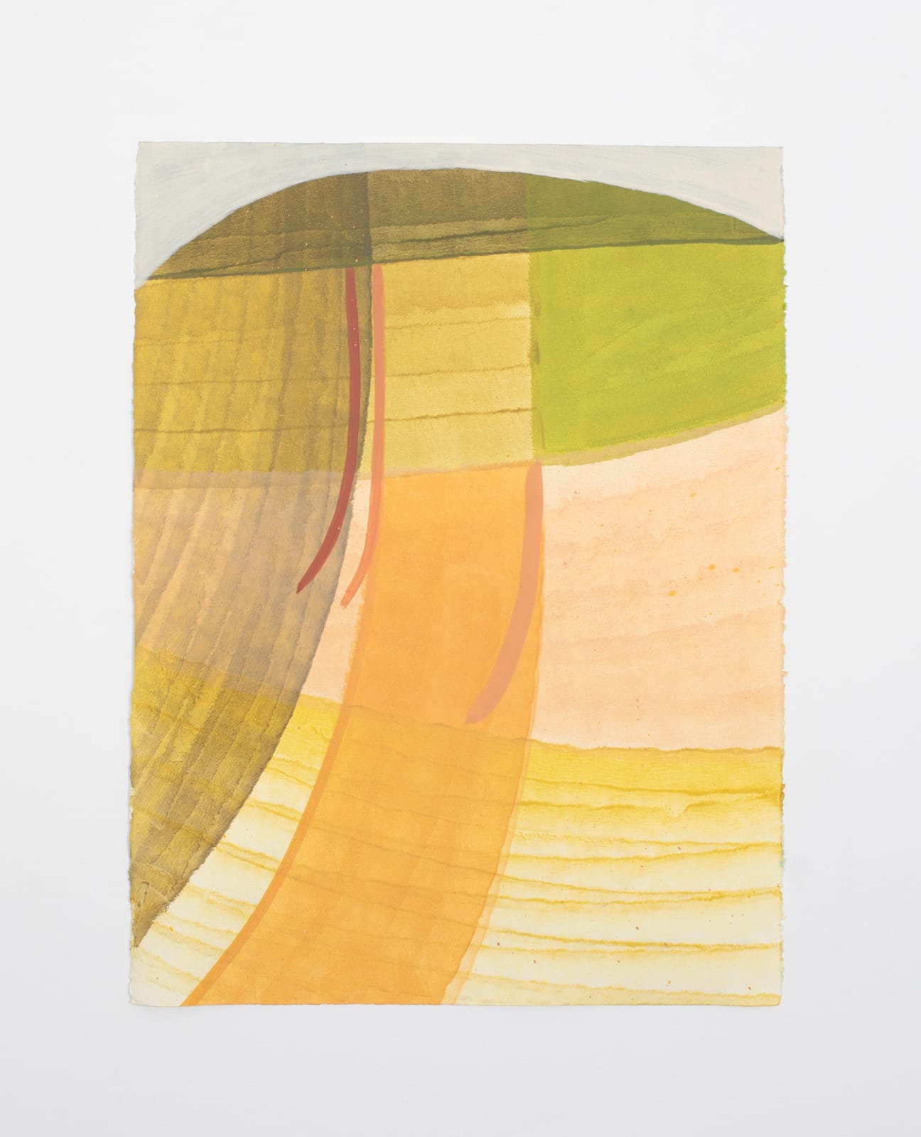 Ky Anderson, Seedling 25.5, 2025