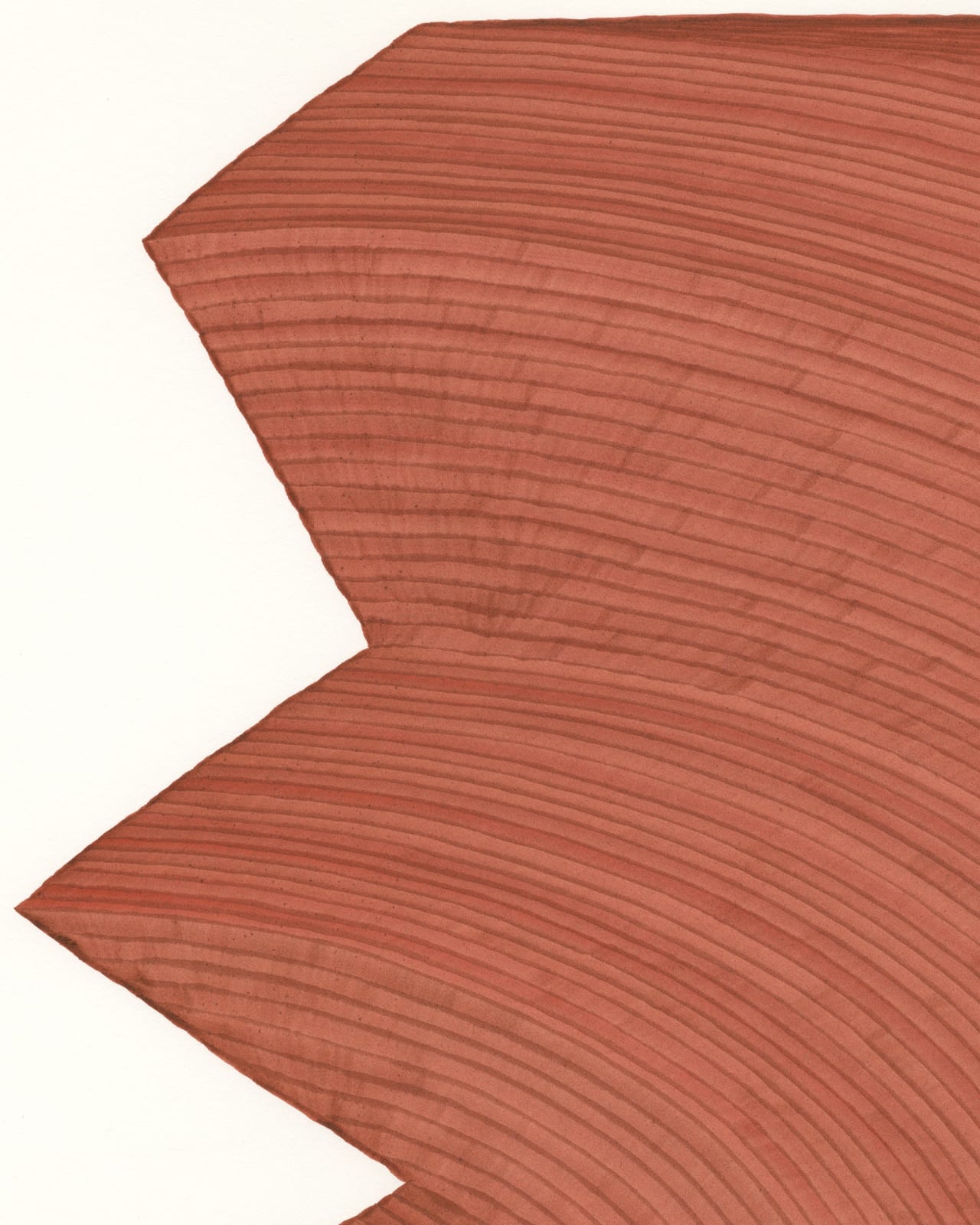 Dana Piazza, Lines 144, 2023