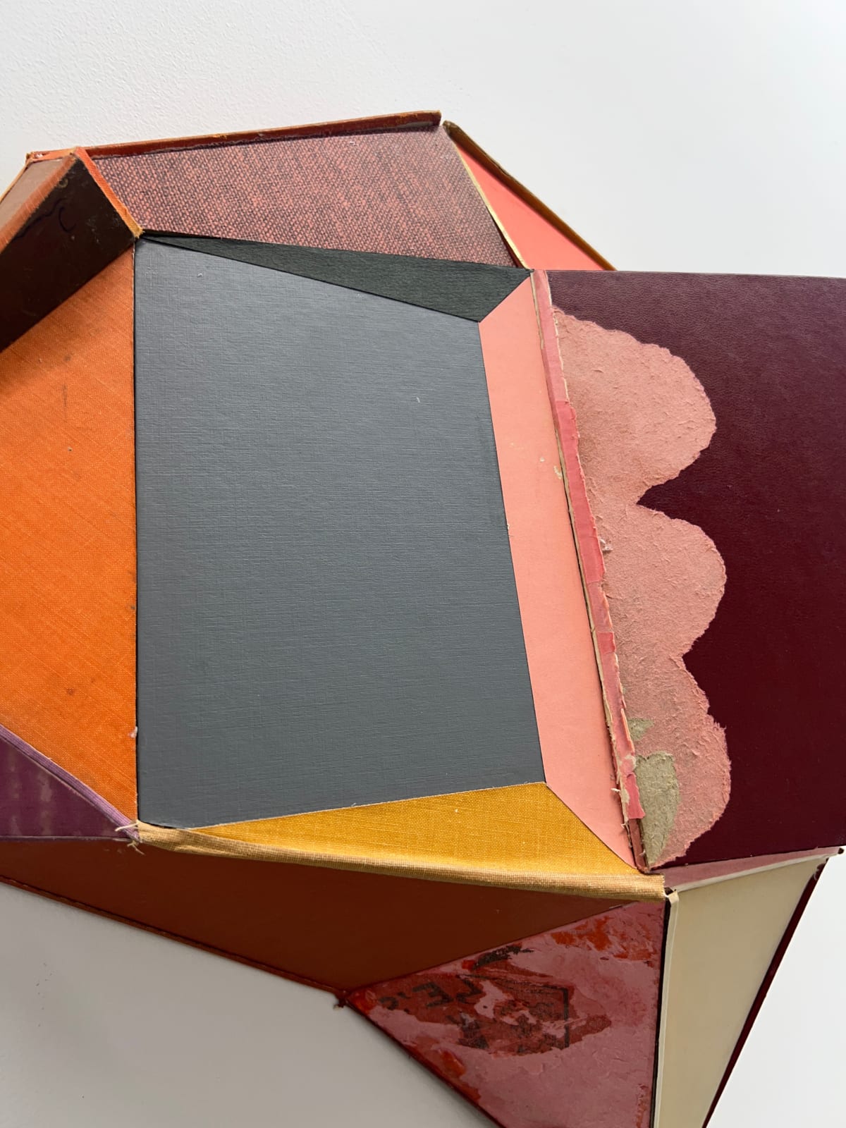 Conny Goelz Schmitt, Late Bloomer, 2024