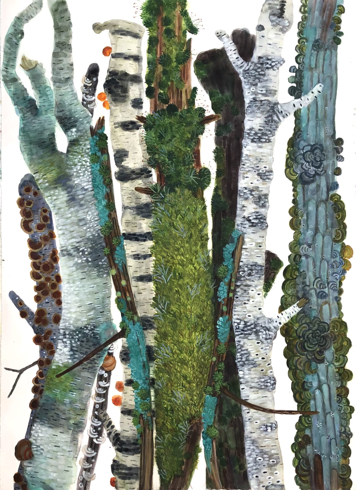 Watercolor drawing of tree branches