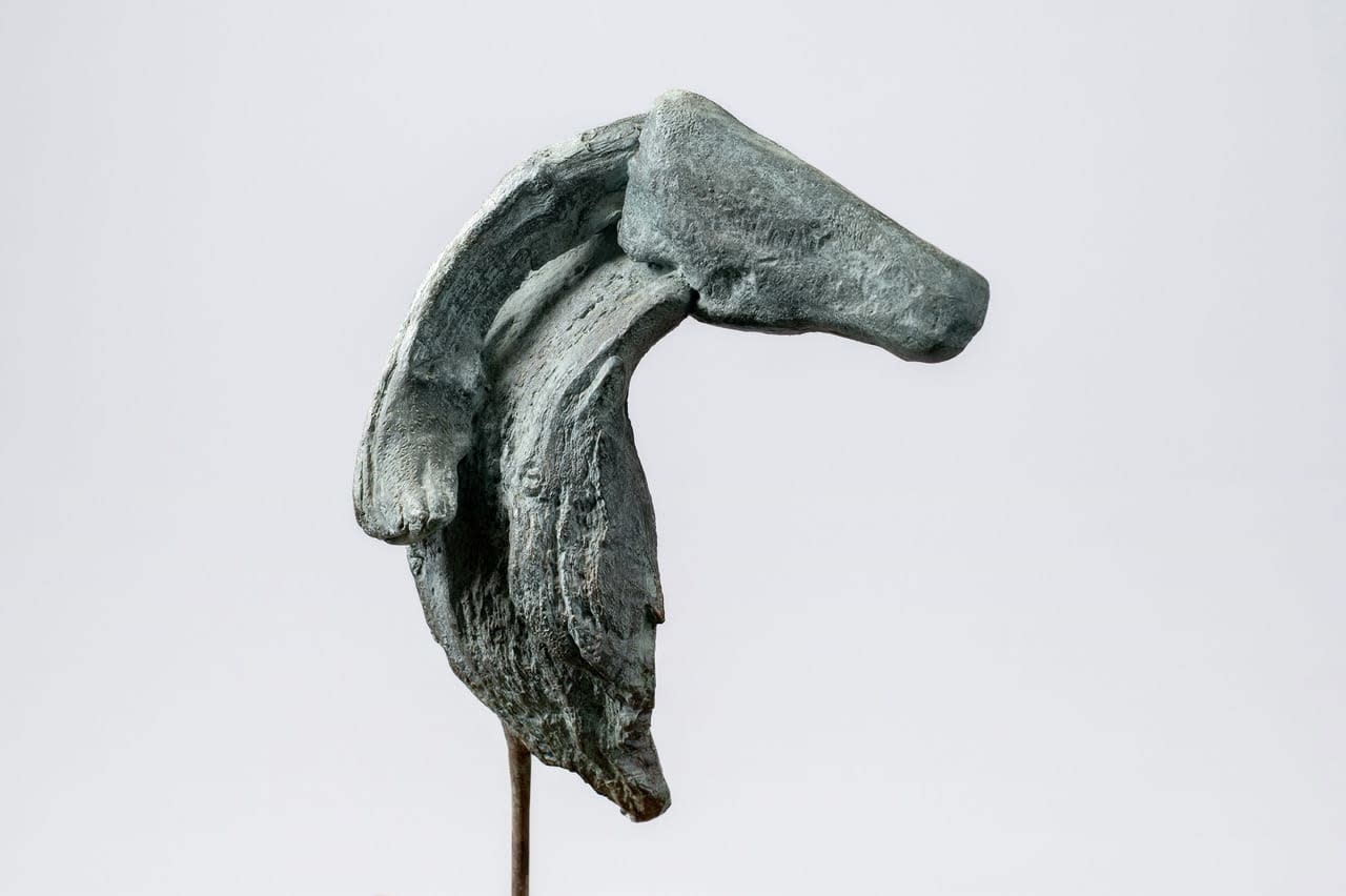 Alexandra Athanassiades, Horse 4 , 2015