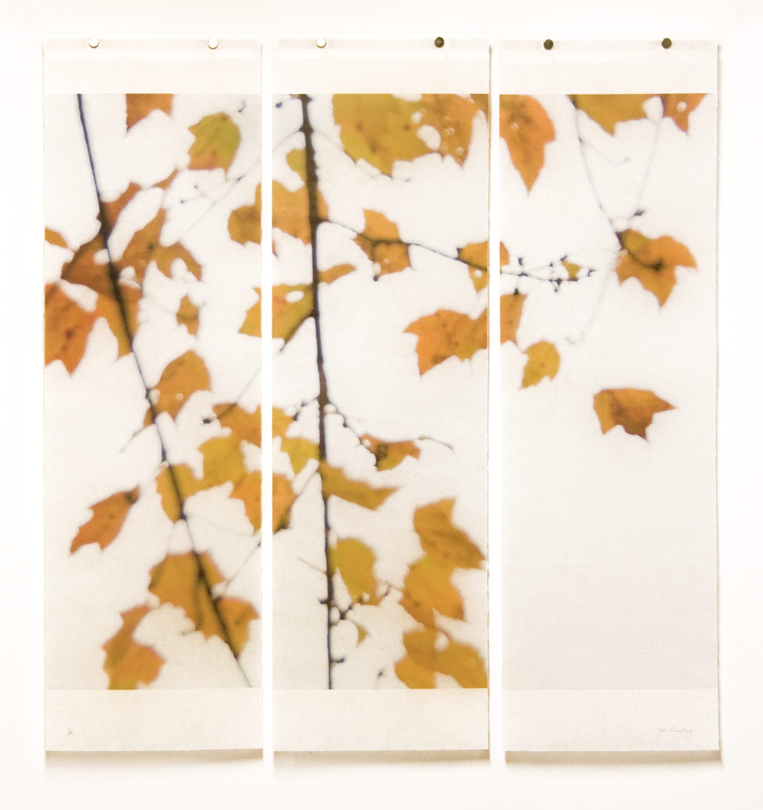 Jeri Eisenberg, In Situ, No. 7, 2020