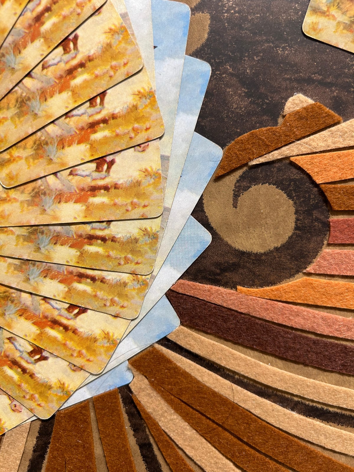 Lisa Hoke, Round Up, 2024