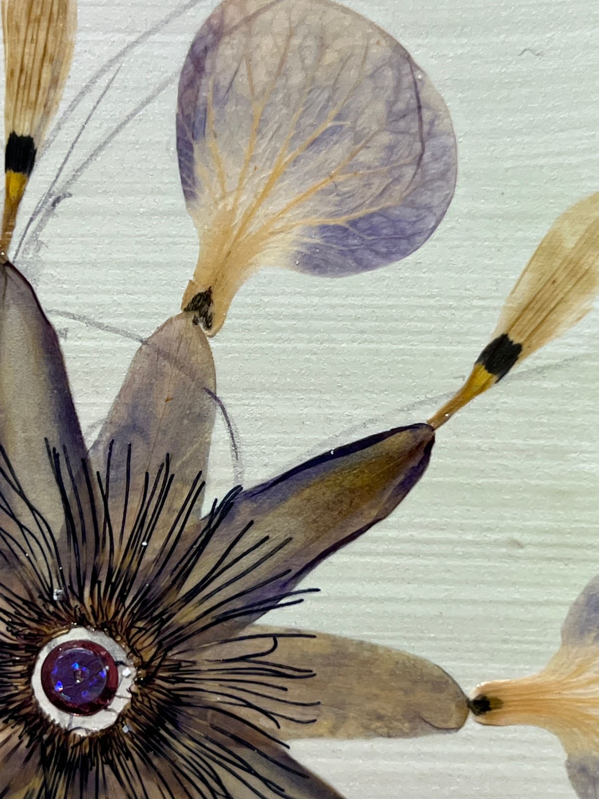 Marilla Palmer, Ethereal Passiflora, 2024