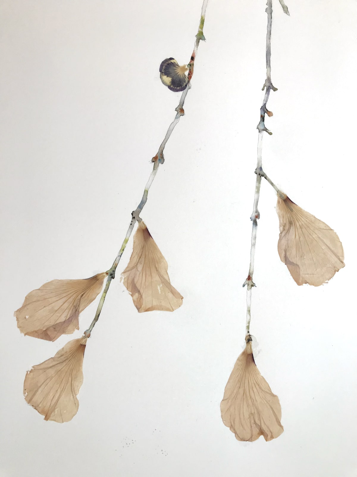 Marilla Palmer, Willow, Willow, 2017