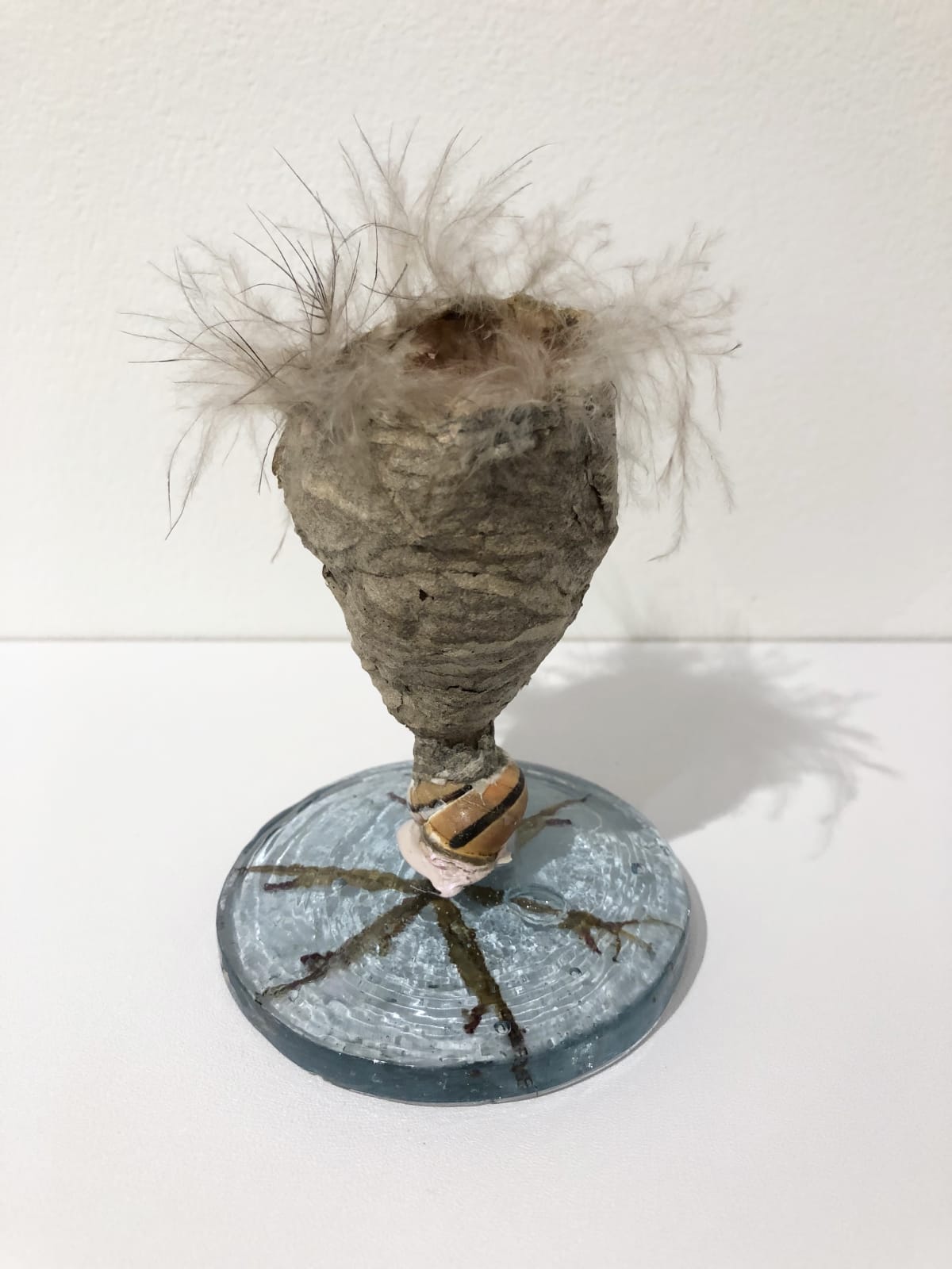 Marilla Palmer, Feather and Shell, 2017