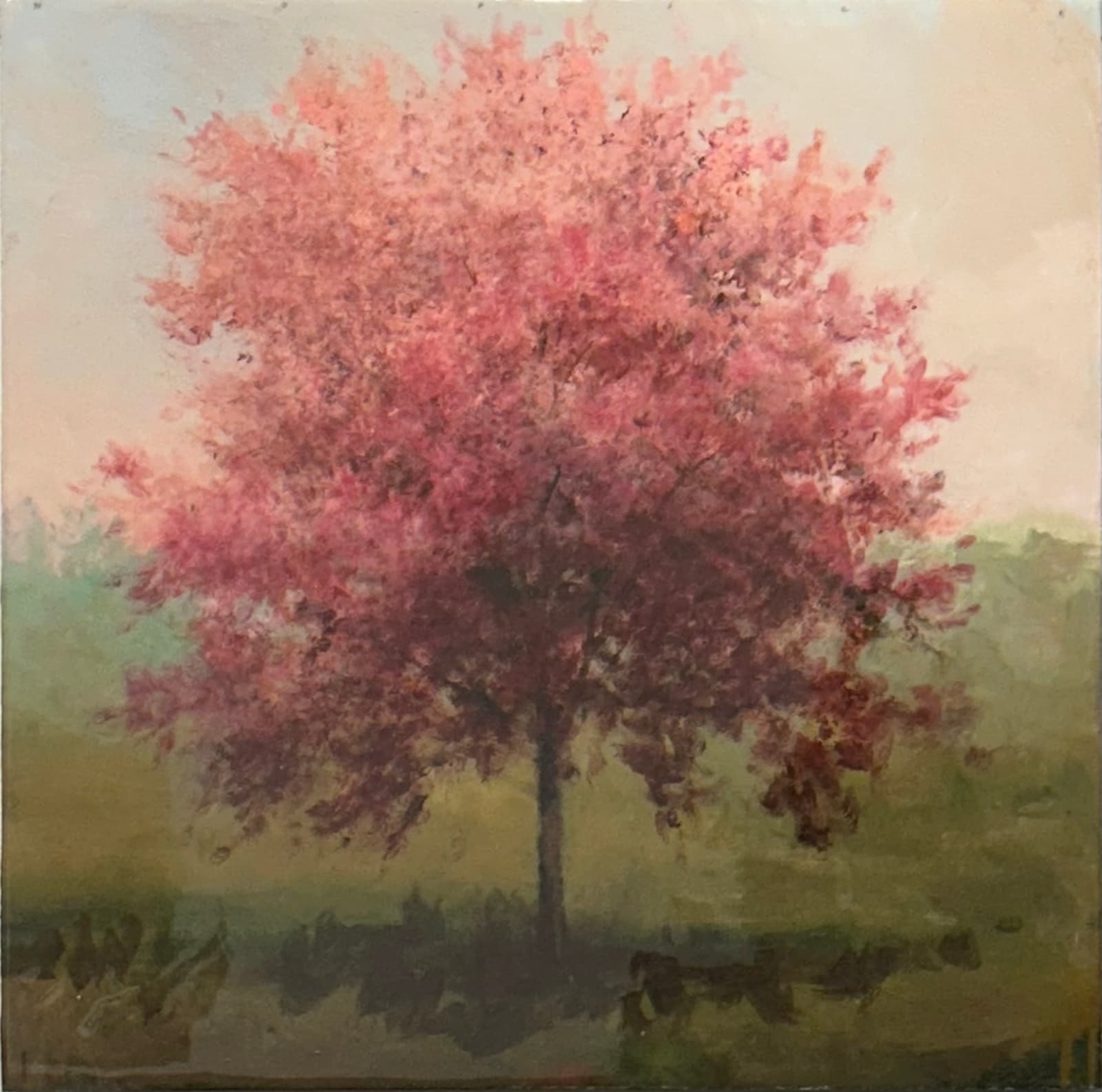 Peter Hoffer, Nafisa, 2024