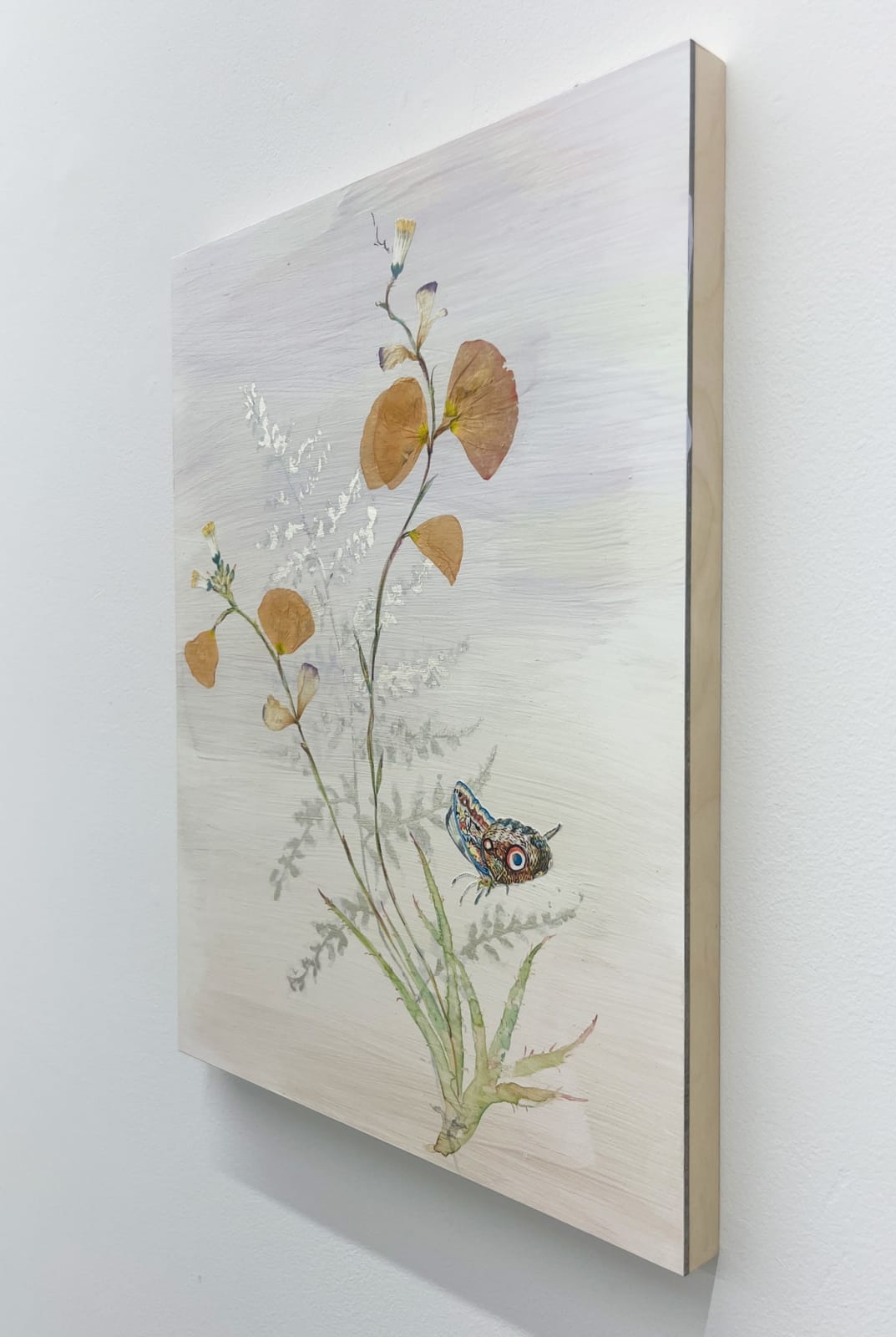 Marilla Palmer, The Impermanence of Light, 2025